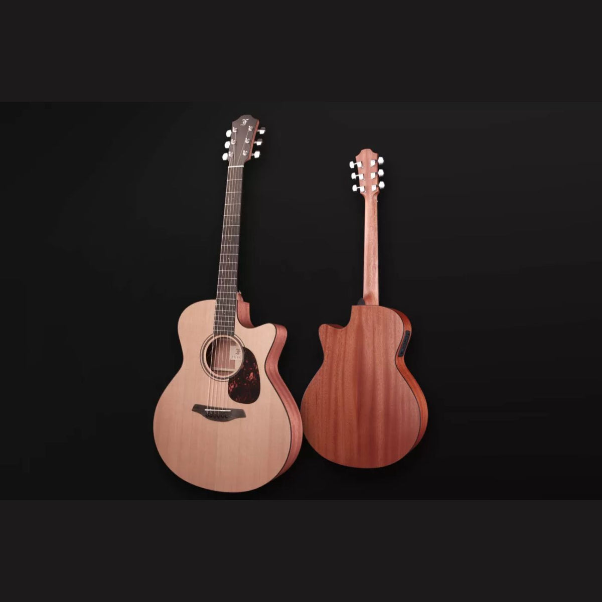 Acoustic guitar online masters